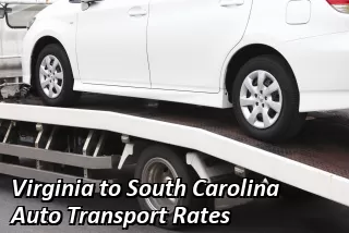 Virginia to South Carolina Auto Transport Shipping