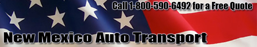 New Mexico to Texas Auto Shipping Logo